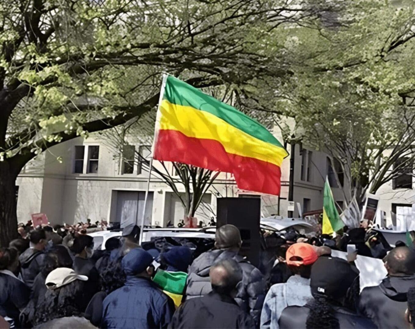 A crowd of people gathered in the street under trees.